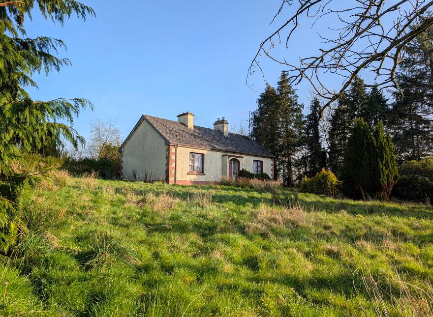 Boley, Bawnboy, N41NY57