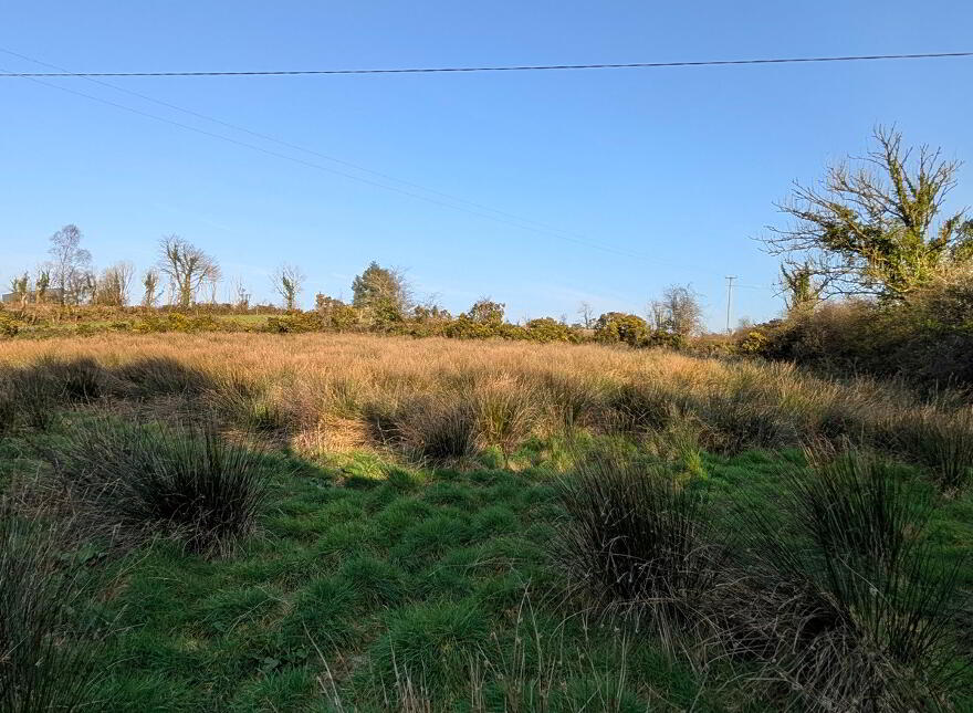 Boley, Bawnboy, N41NY57
