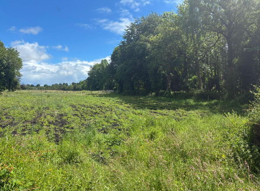 Site, Rossarrell, Glaslough