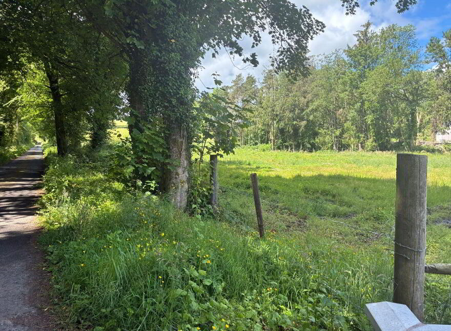 Site, Rossarrell, Glaslough