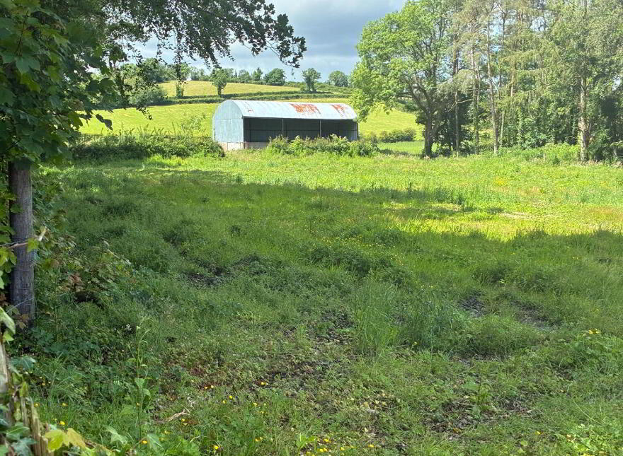 Site, Rossarrell, Glaslough