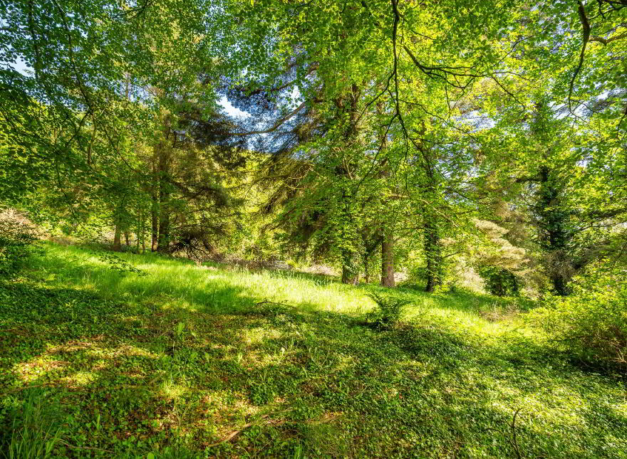Woodlands, Lisfannon, Fahan, F93W9K6
