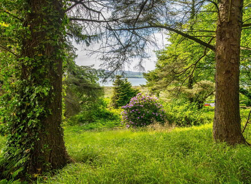 Woodlands, Lisfannon, Fahan, F93W9K6