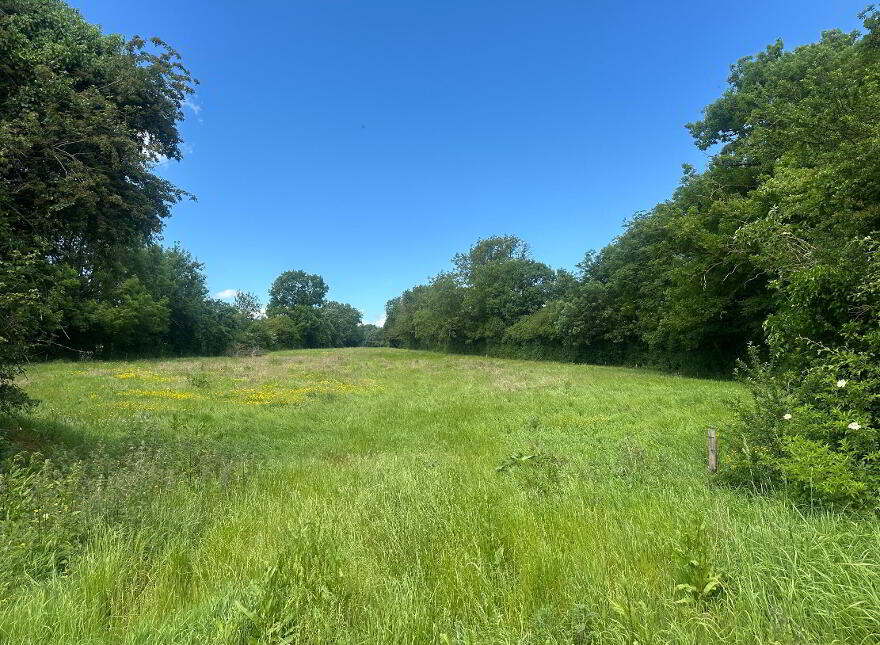 Circa, 9.93 HA/24.54 Acres, At Laganore, Clonmel, E91N7Y2