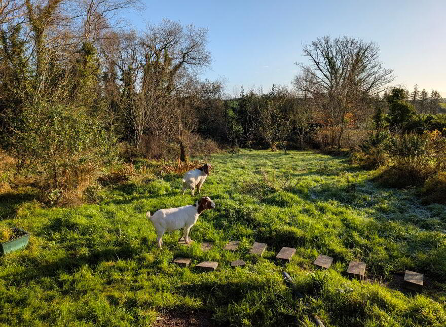 Owengallis, Bawnboy, H14F796