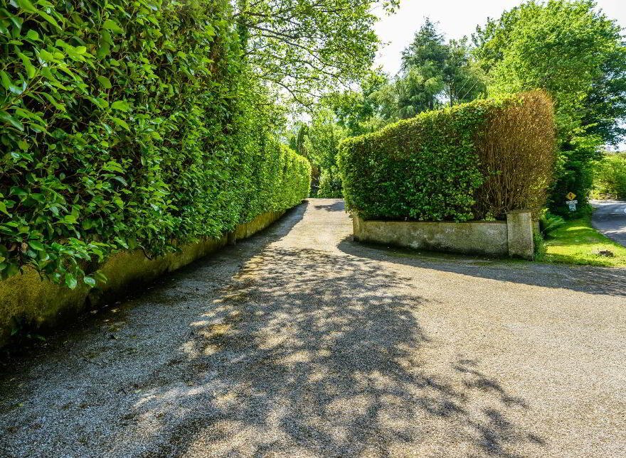 Commeen, Carrigaline, P43PX28