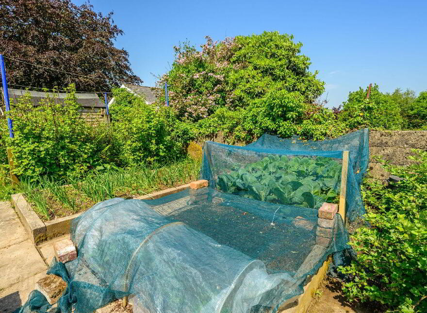 Commeen, Carrigaline, P43PX28