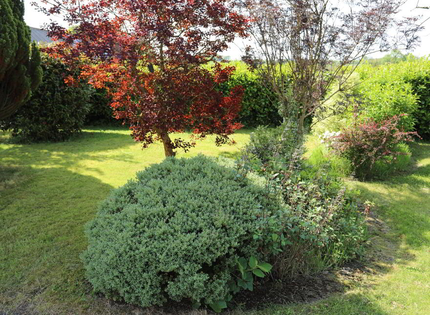 "Laureldeane", 37 Kilrea Road, Garvagh, BT51 5LR
