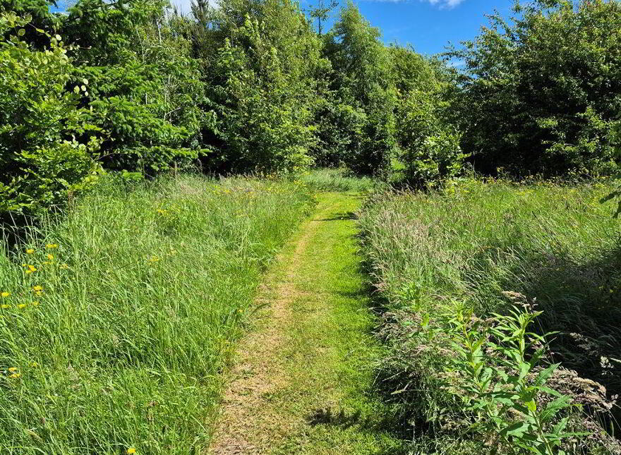 Beekeepers Lodge, Coolefore, Monasterboice, A92A30E