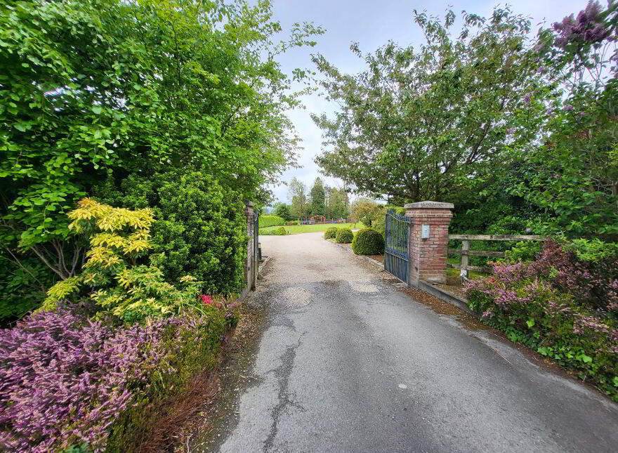 Ash Grove, Baltyboys, Blessington, W91WF65