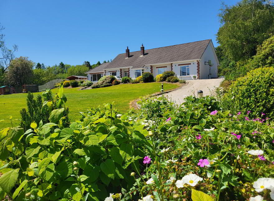 Ash Grove, Baltyboys, Blessington, W91WF65