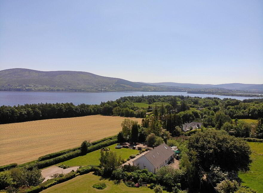 Ash Grove, Baltyboys, Blessington, W91WF65