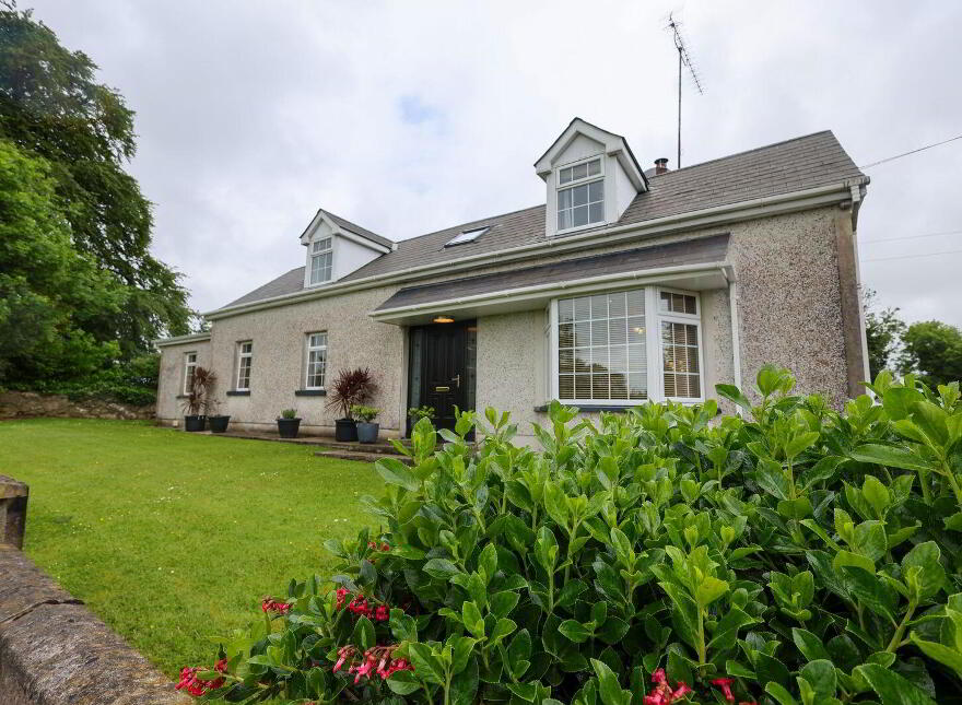 Martinstown, Delvin, Killucan, N91XH42