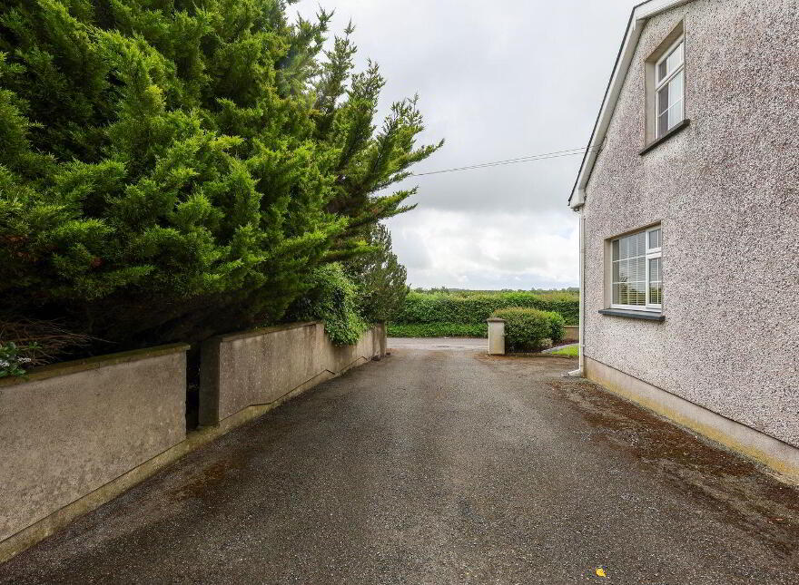 Martinstown, Delvin, Killucan, N91XH42