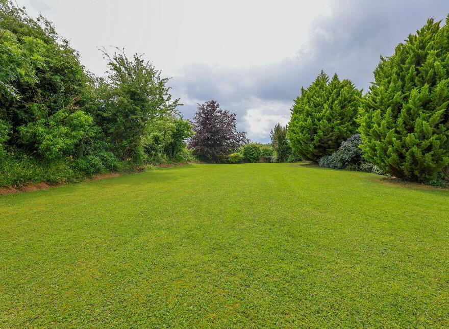Martinstown, Delvin, Killucan, N91XH42