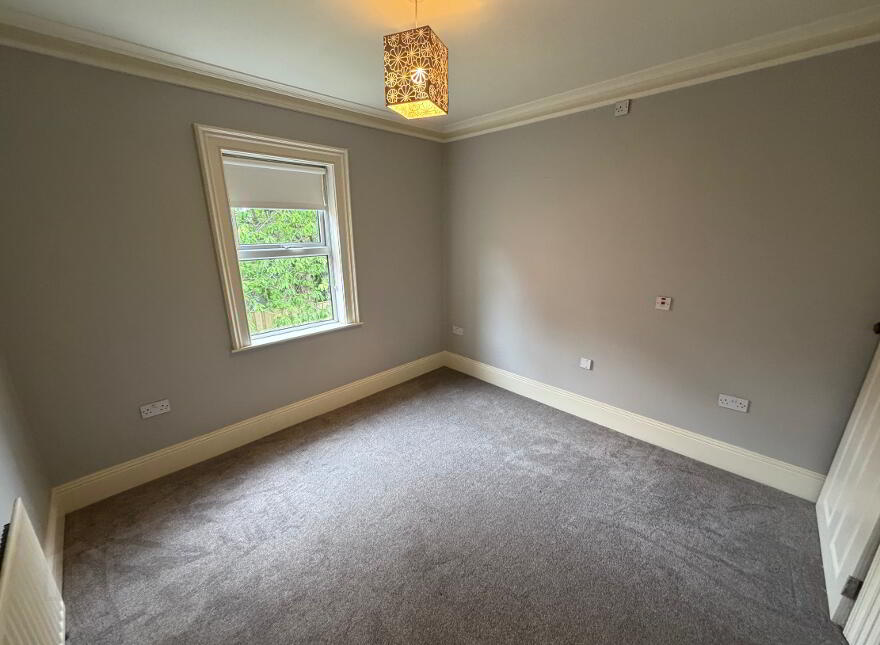 Windsor Park, Lisburn Road, Belfast, BT9 6FQ