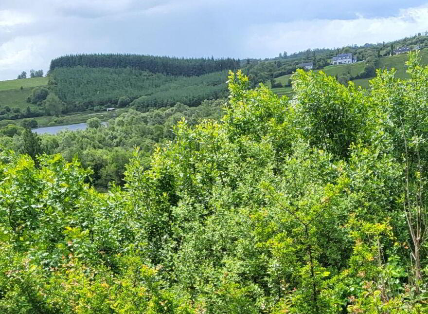Seltan Lake View, Seltan Hill, Gorvagh, N41N2X0