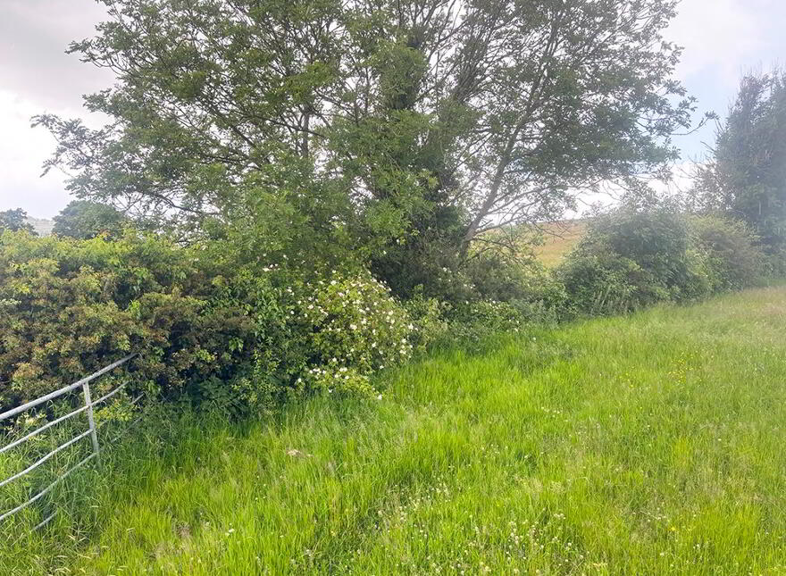Seapatrick Road, Banbridge, BT32 4PH