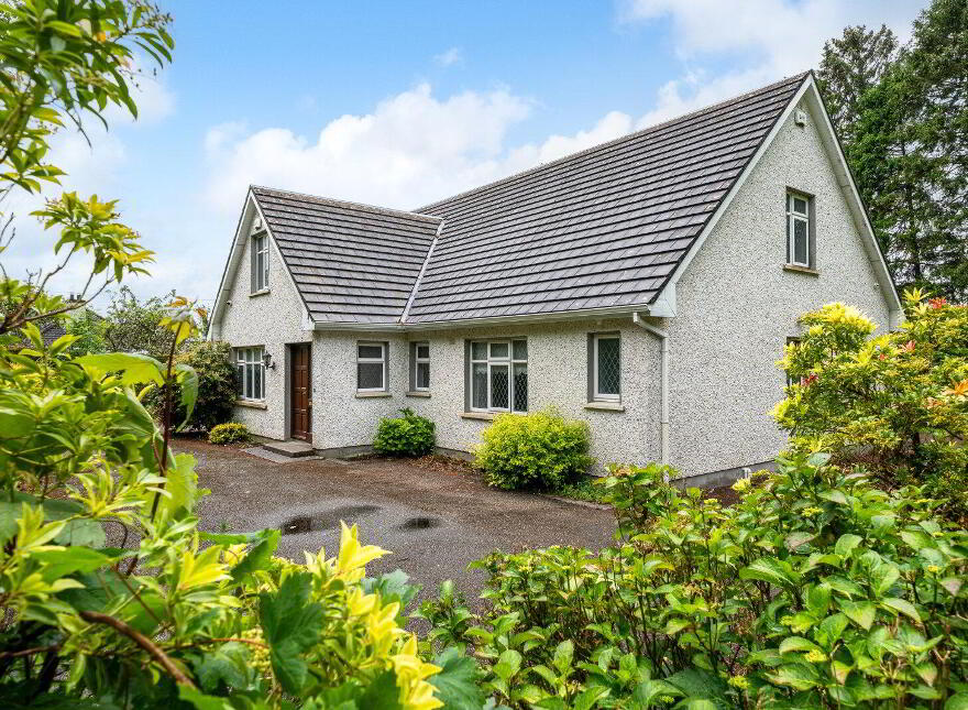 New Rooskey, Rooskey, N41VF53