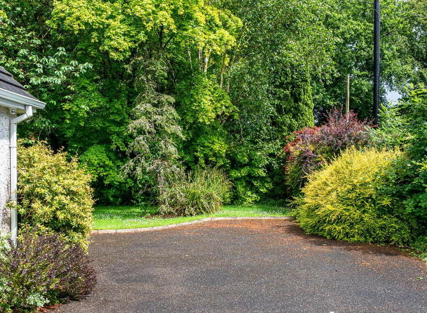 New Rooskey, Rooskey, N41VF53