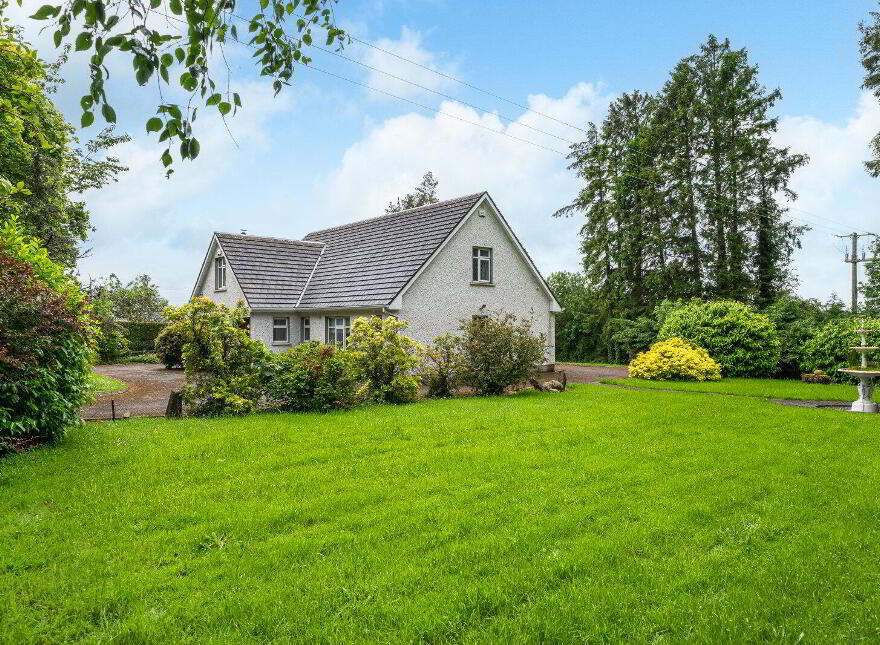 New Rooskey, Rooskey, N41VF53