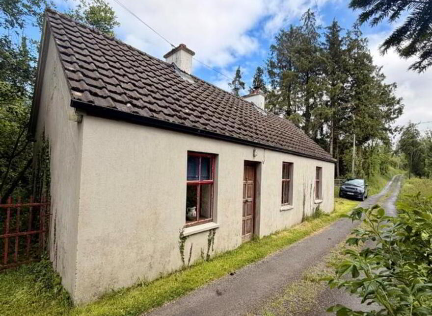 Lisacarn, Ballinamore, N41YV05