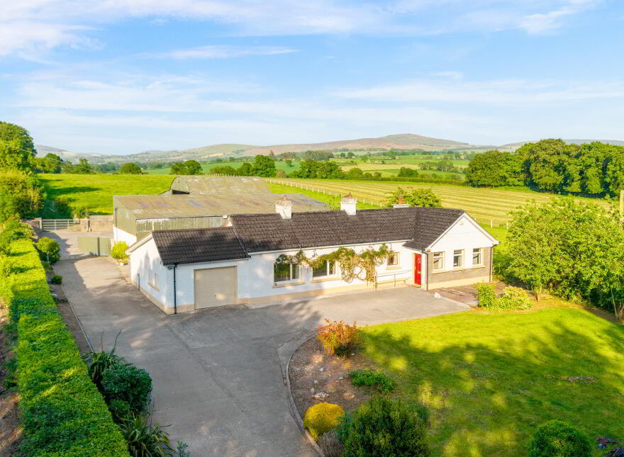 Newstown, Ardattin, Tullow, R93W544