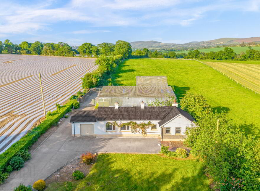 Newstown, Ardattin, Tullow, R93W544