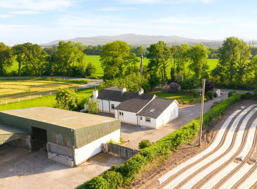 Newstown, Ardattin, Tullow, R93W544