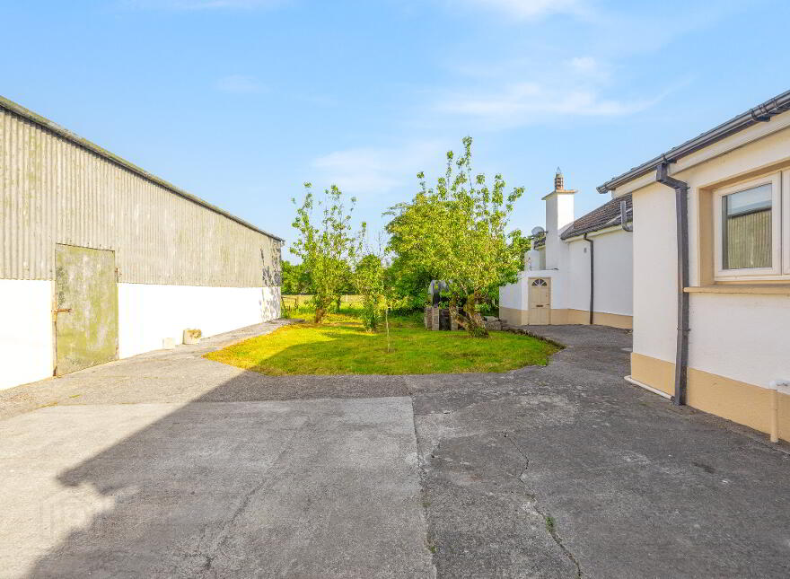 Newstown, Ardattin, Tullow, R93W544