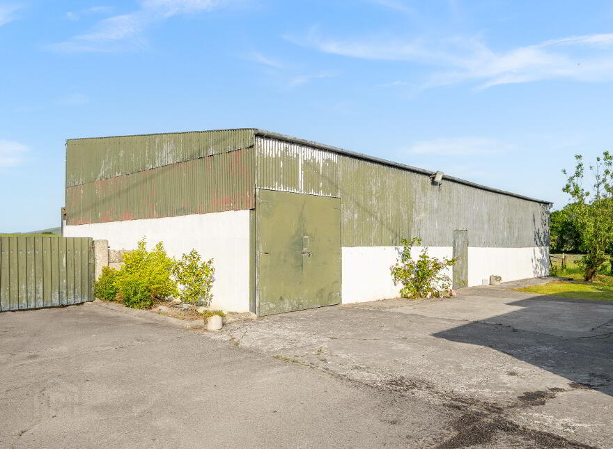 Newstown, Ardattin, Tullow, R93W544