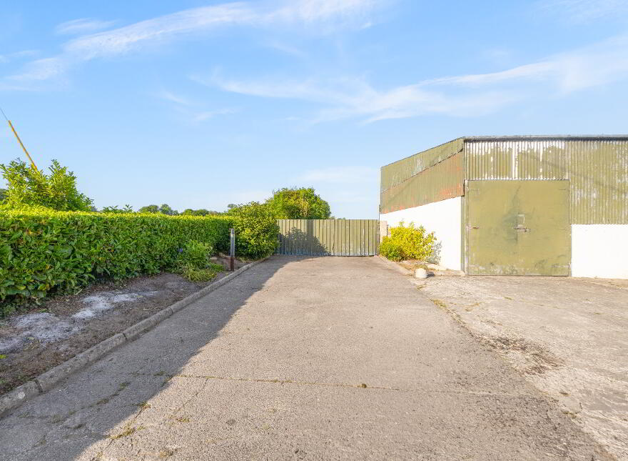 Newstown, Ardattin, Tullow, R93W544