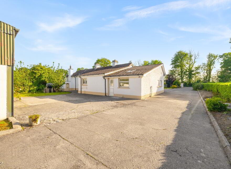Newstown, Ardattin, Tullow, R93W544