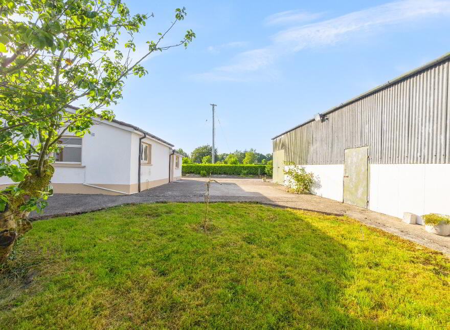 Newstown, Ardattin, Tullow, R93W544