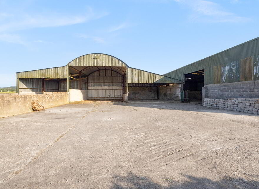 Newstown, Ardattin, Tullow, R93W544