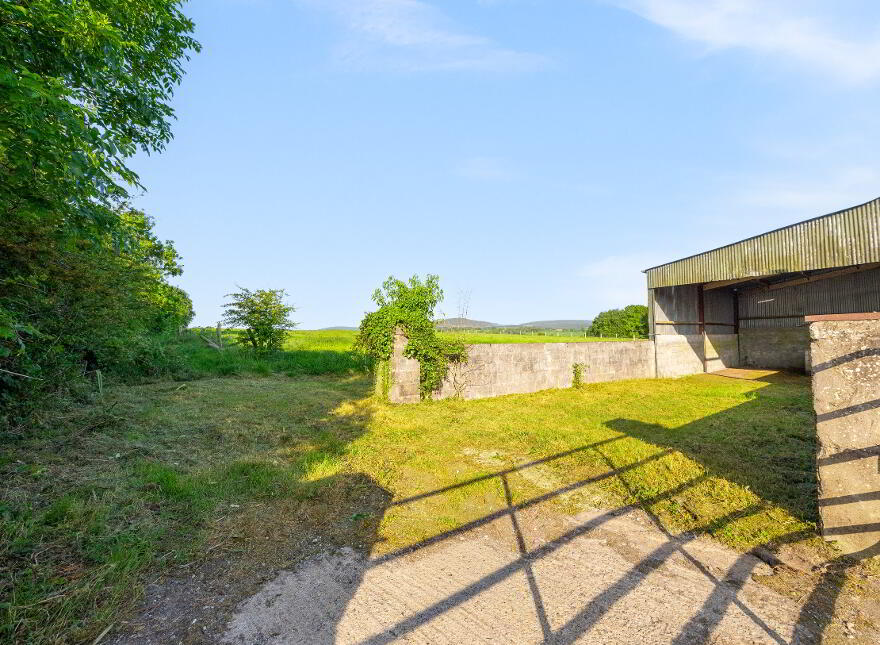 Newstown, Ardattin, Tullow, R93W544