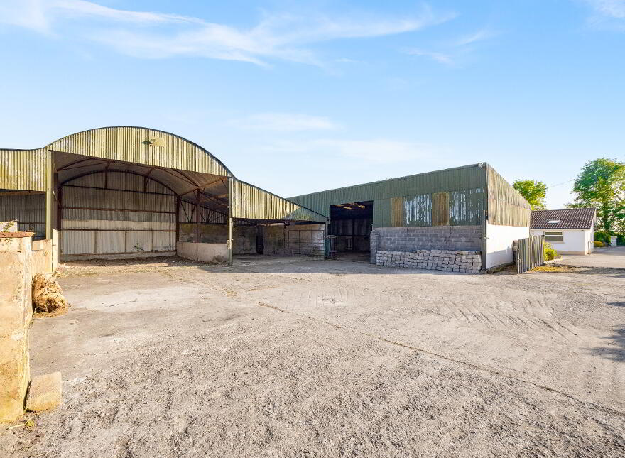 Newstown, Ardattin, Tullow, R93W544