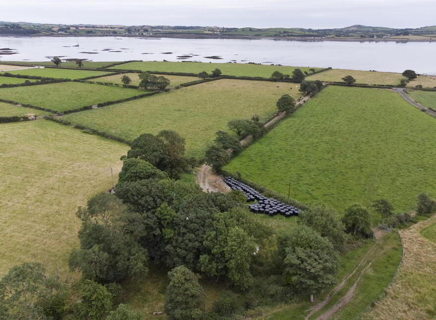 71 Shore Road, Strangford, Downpatrick, BT30 7NW