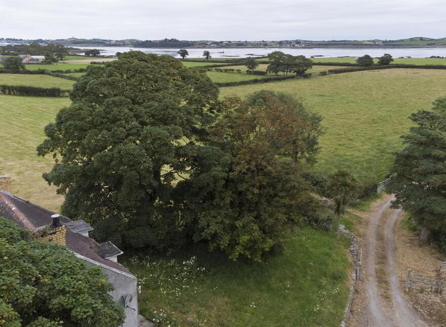 71 Shore Road, Strangford, Downpatrick, BT30 7NW