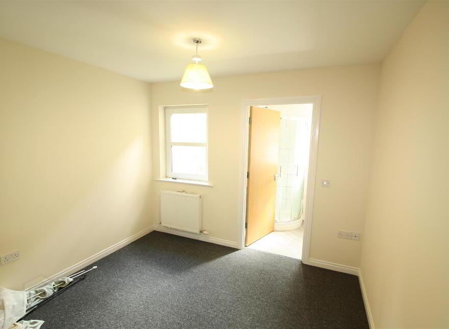 13C Reid Court, Ballynahinch, BT24 8BL
