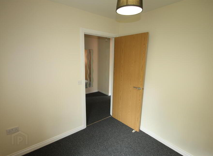 13C Reid Court, Ballynahinch, BT24 8BL