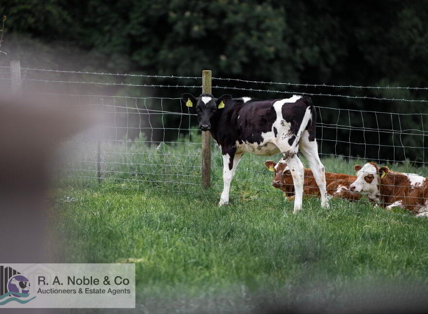 66 Claranagh Road, Excellent C. 50.75 Acre Residential Farm, Tempo, BT94 3FL