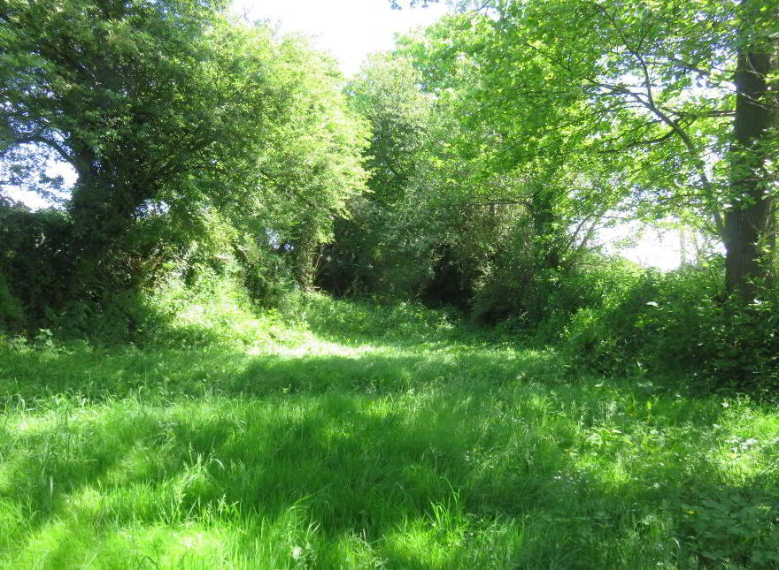 Causeway Cottage, Lackenagobidane, Clonakilty, P85CC42