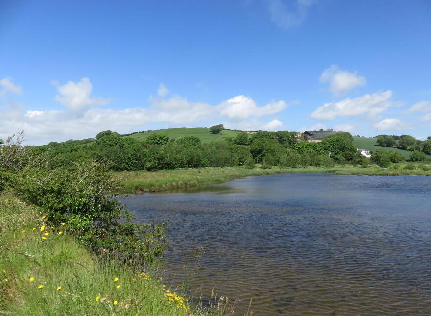 Causeway Cottage, Lackenagobidane, Clonakilty, P85CC42