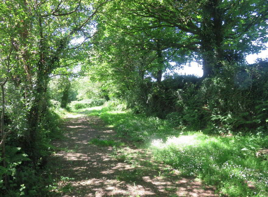 Causeway Cottage, Lackenagobidane, Clonakilty, P85CC42