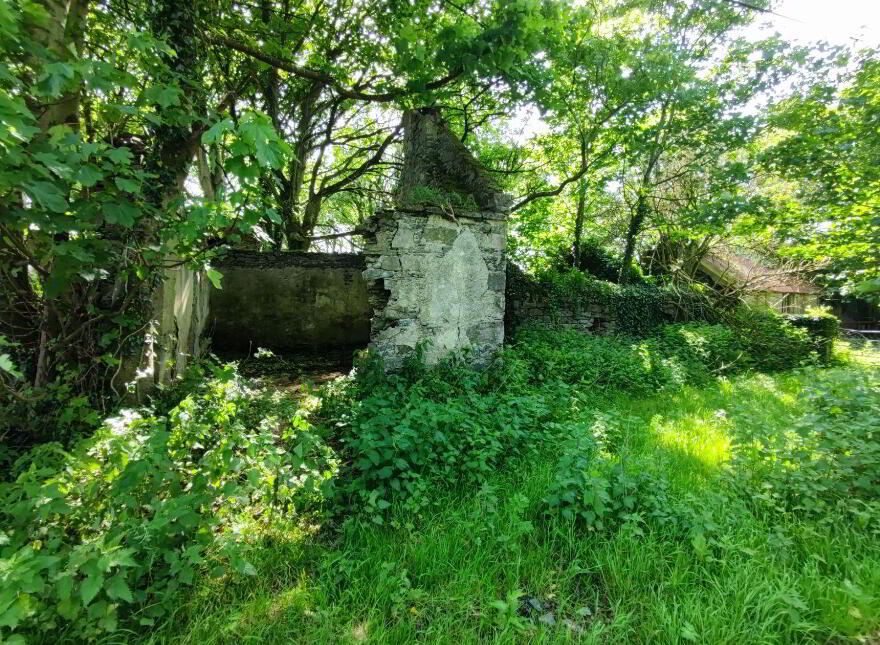 Derelict Cottage, C. 24.66 Acres, Springfield, Tamney, F92H308