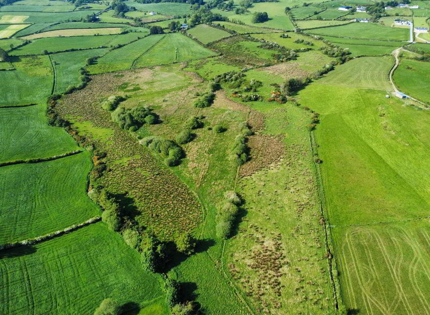 Derelict Cottage, C. 24.66 Acres, Springfield, Tamney, F92H308