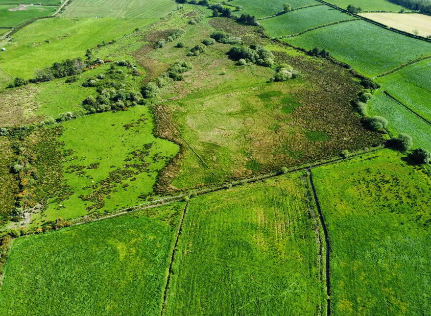 Derelict Cottage, C. 24.66 Acres, Springfield, Tamney, F92H308