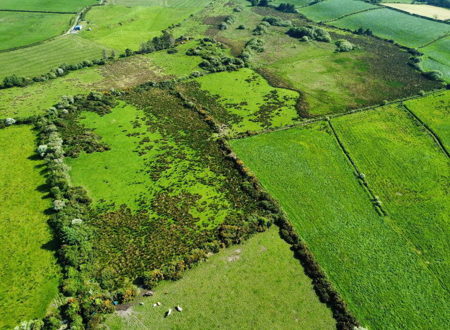 Derelict Cottage, C. 24.66 Acres, Springfield, Tamney, F92H308