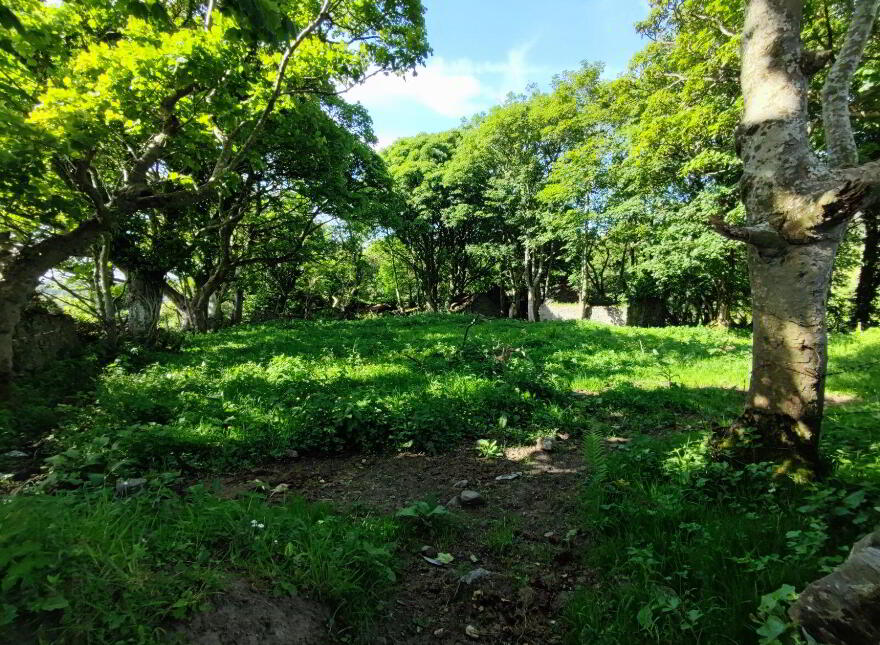 Derelict Cottage, C. 24.66 Acres, Springfield, Tamney, F92H308